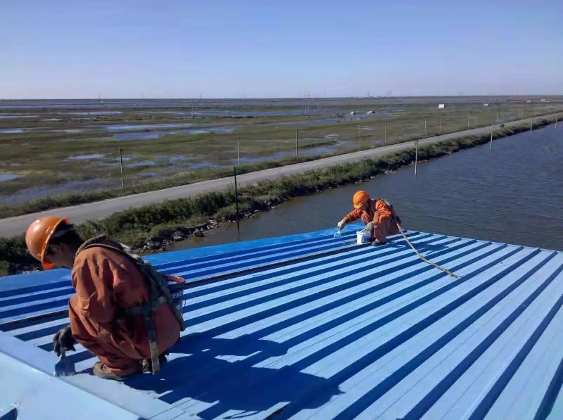 荣成钢结构屋面漏水原因